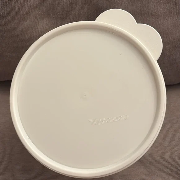 Beekman 1802 Tupperware Plastic Container with Lid - Picture 2 of 6